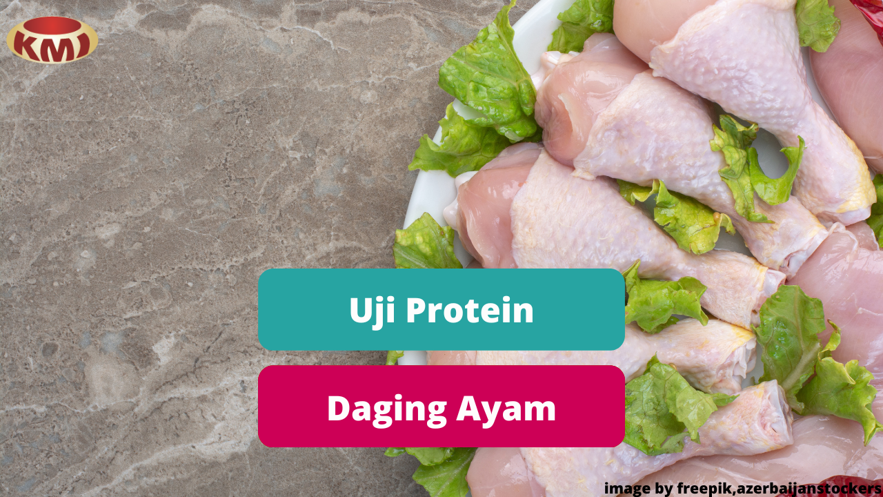 Uji Protein Daging Ayam Di Pasaran